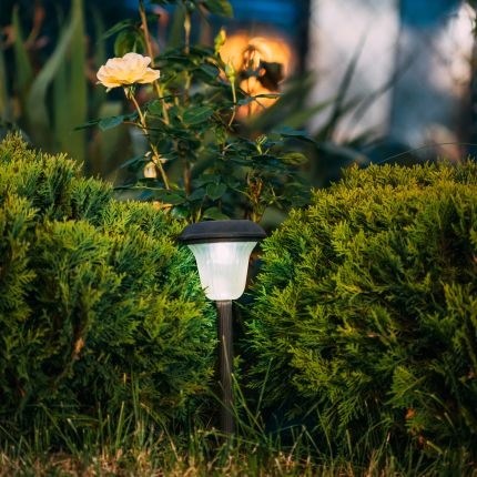 Jak osvětlit zahradu pomocí solárních LED světel?